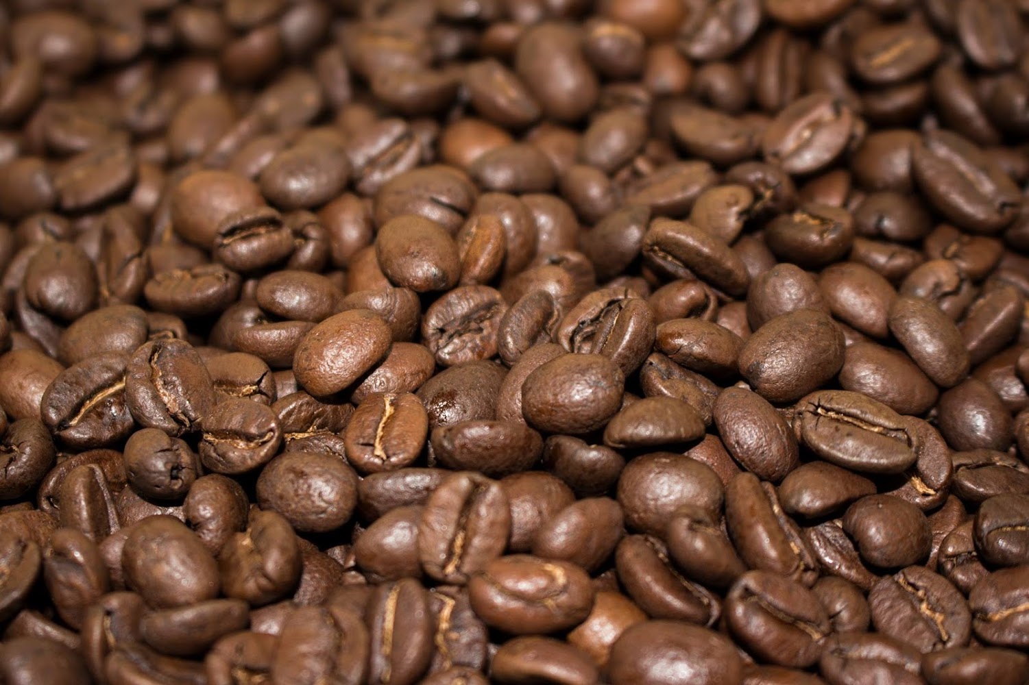 veteran-coffee-roasters-local-roasters